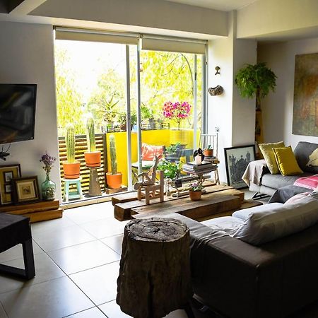 Pequena Habitacion Frida - Design Cdmx - Areas Comunes Compartidas مدينة مكسيكو المظهر الخارجي الصورة